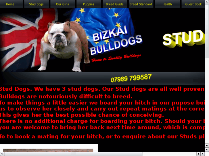 www.bulldogstuddog.com