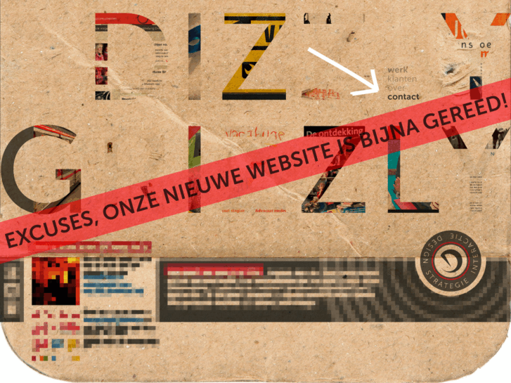 www.dizzygrizzly.com