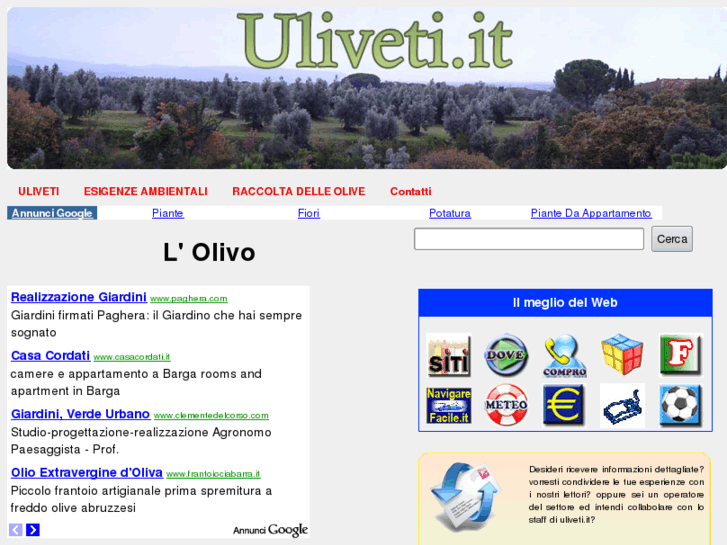 www.uliveti.it