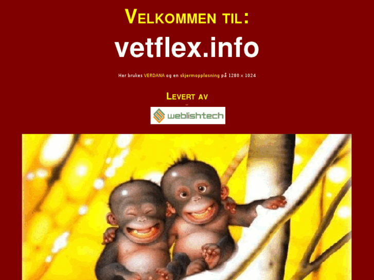 www.vetflex.info