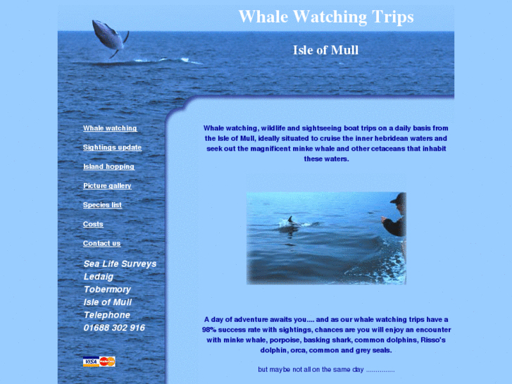www.whalewatchingtrips.co.uk