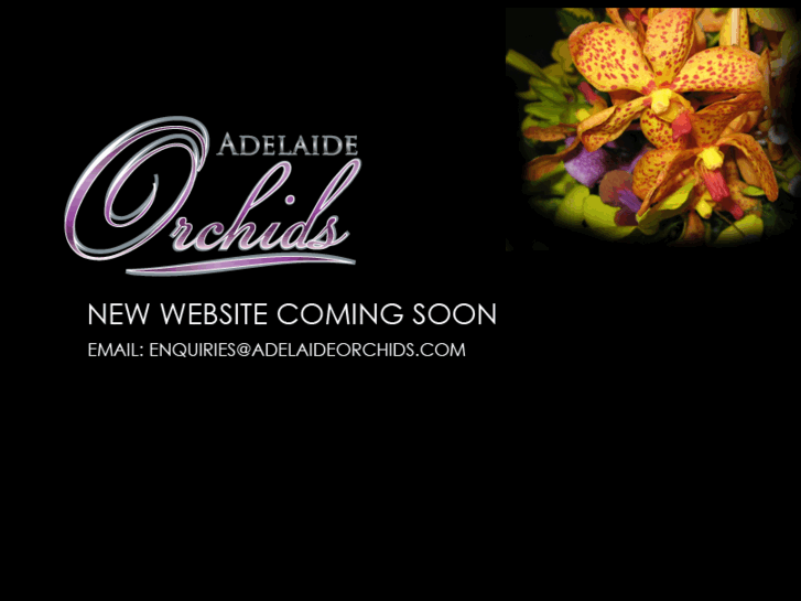 www.adelaideorchids.com