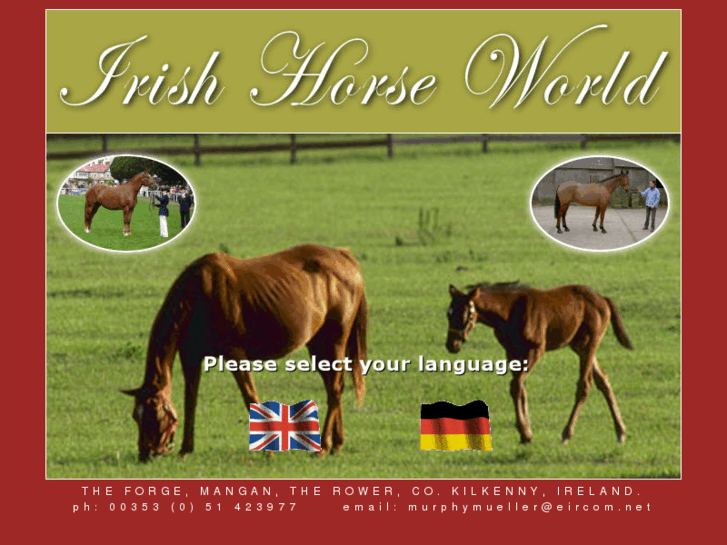 www.irishhorseworld.com