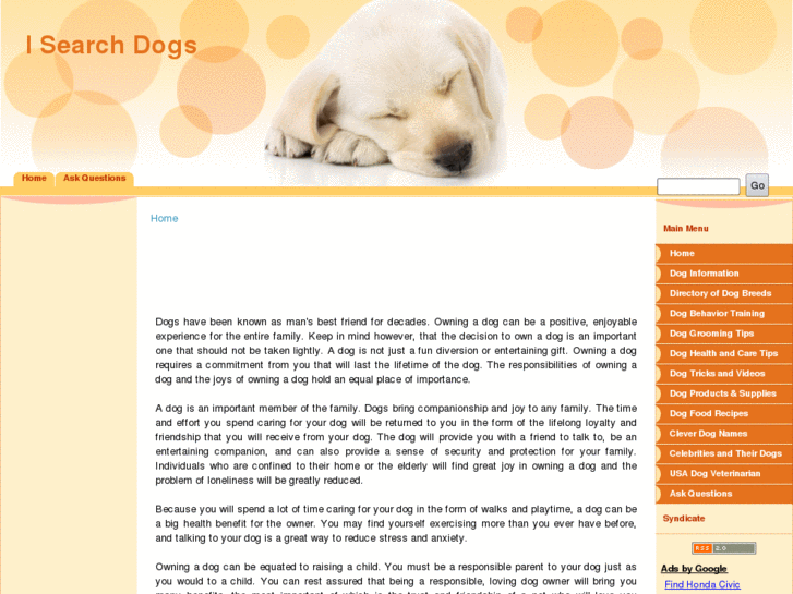 www.isearchdogs.com