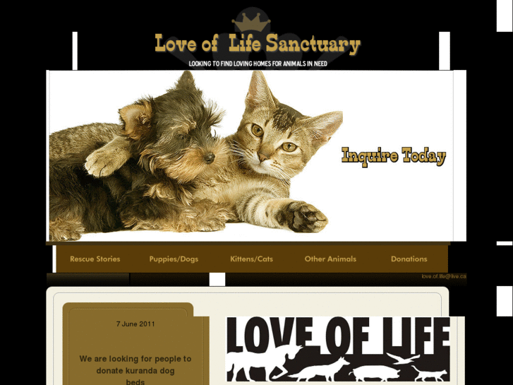 www.loveoflifepetadoption.com