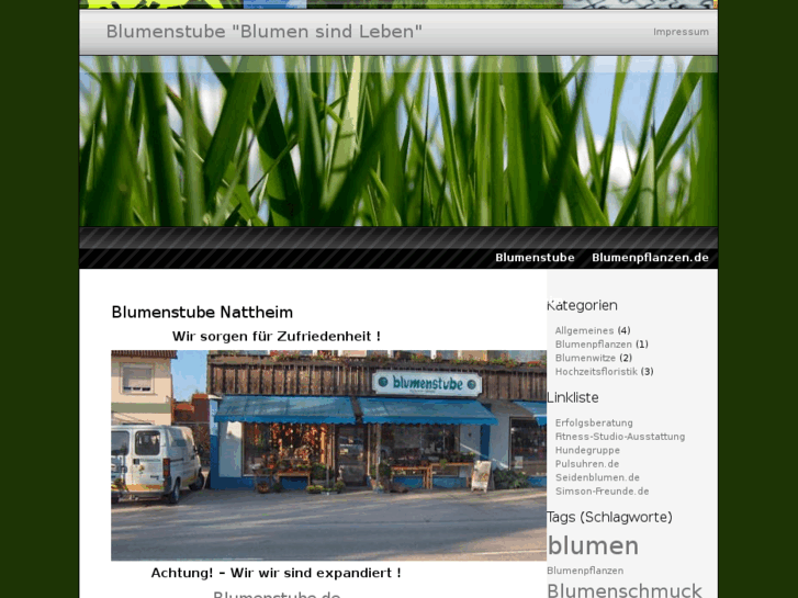 www.seidenblumen.com