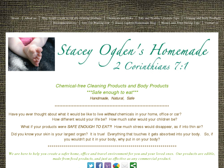 www.staceyogdenshomemade.com