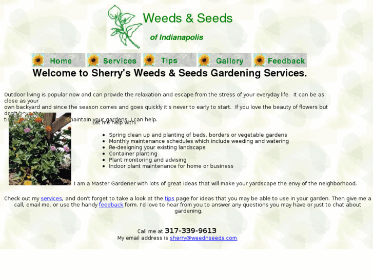 www.weednseeds.com