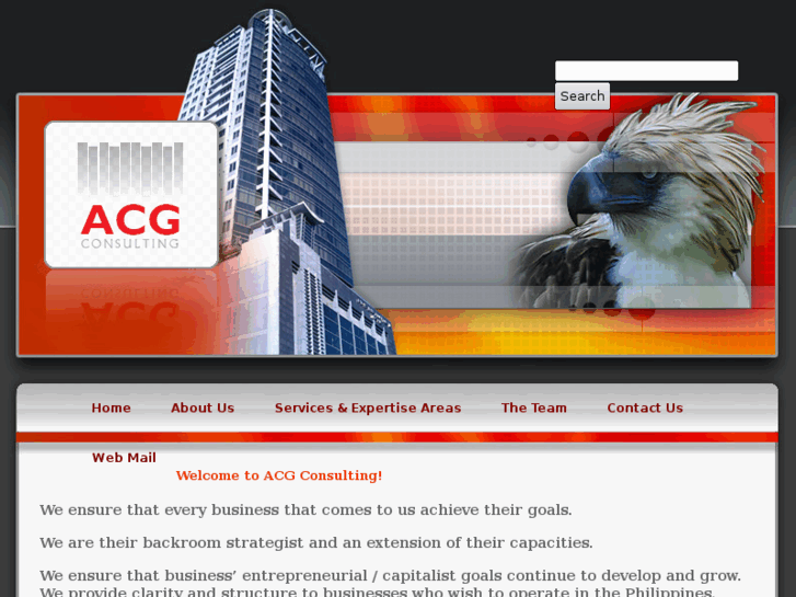 www.acg-consulting.net