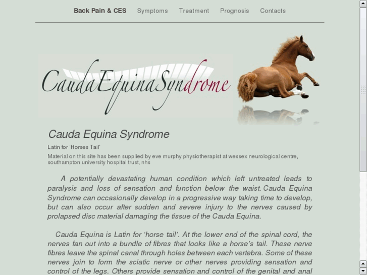 www.caudaequinasyndrome.net