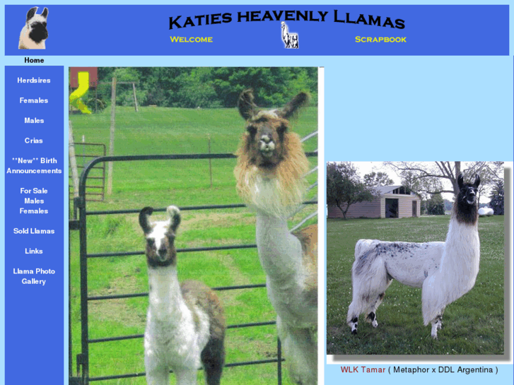 www.katiesheavenlyllamas.com