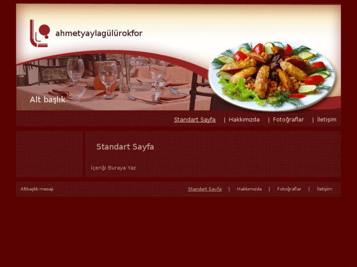 www.ahmetyaylagulurokfor.com