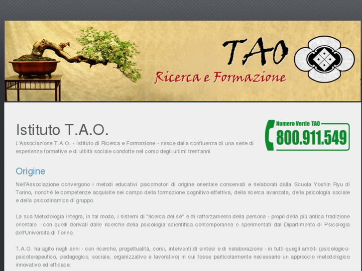 www.associazionetao.com