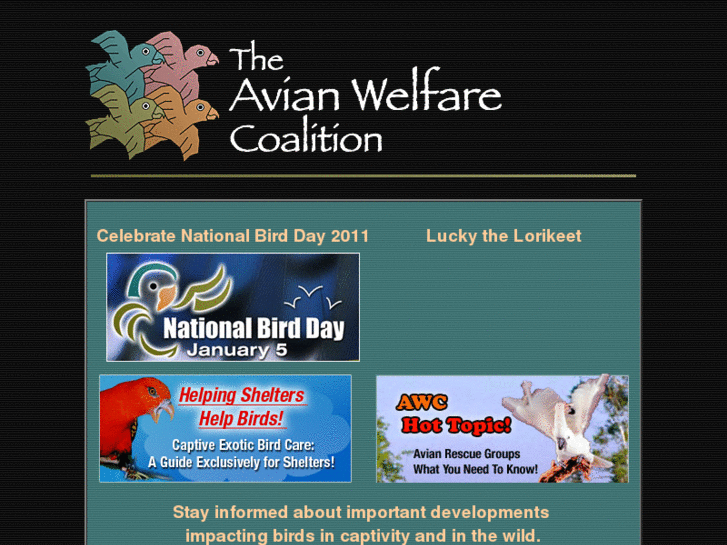 www.avianprotection.com