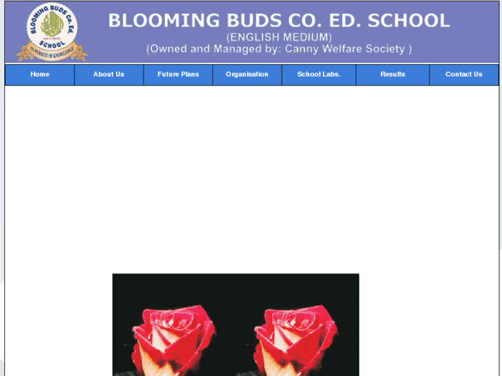 www.bloomingbudscoed.com