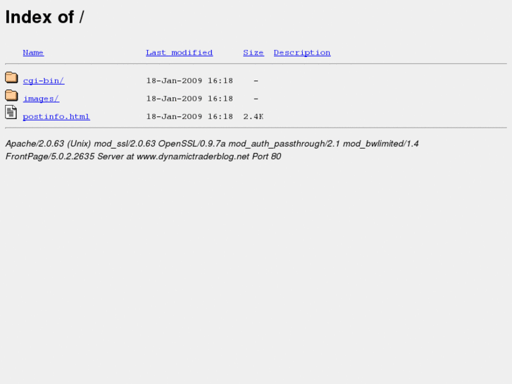 www.dynamictraderblog.net