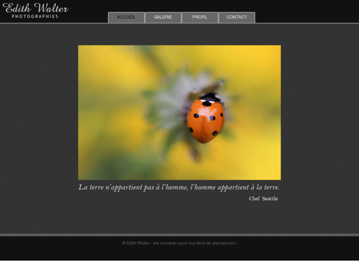 www.edithwalter.com