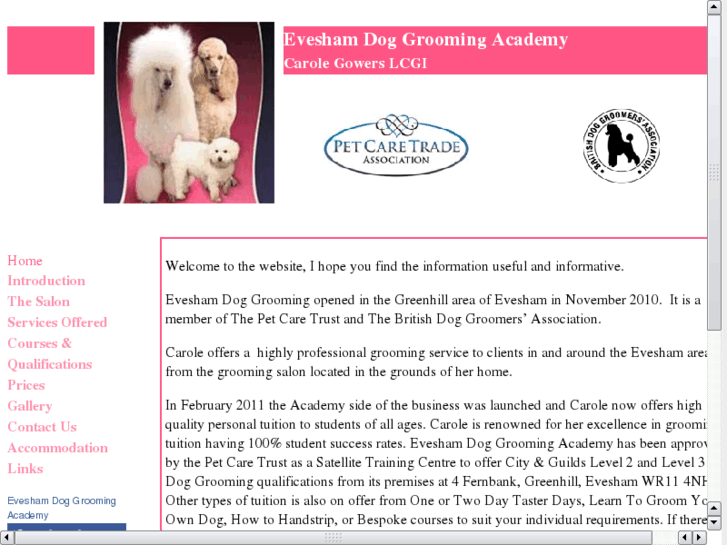 www.eveshamdoggrooming.com