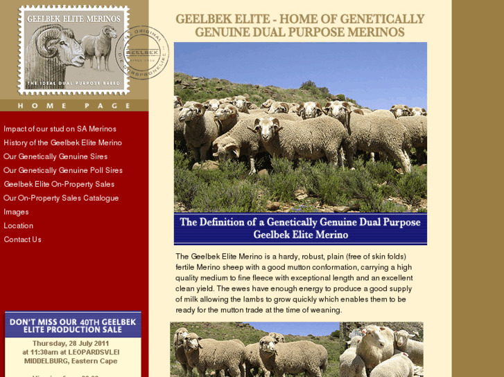 www.geelbek-elite-merinos.com