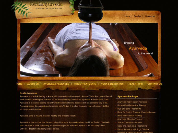 www.keralaayurvedatourism.com