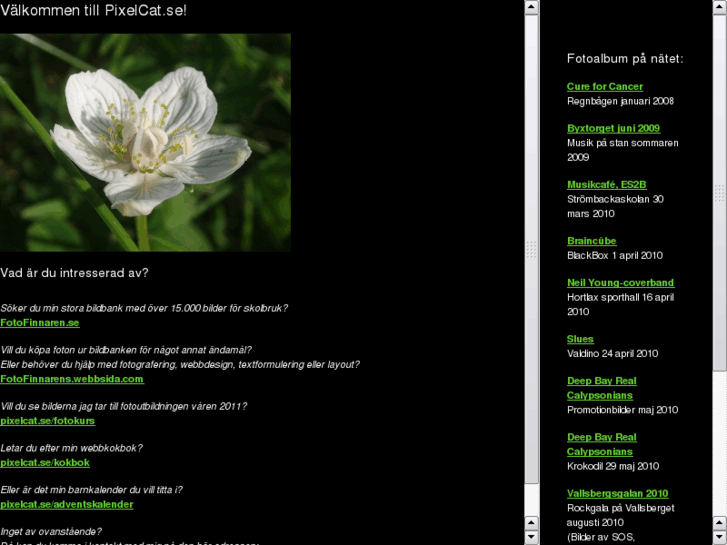 www.pixelcat.se