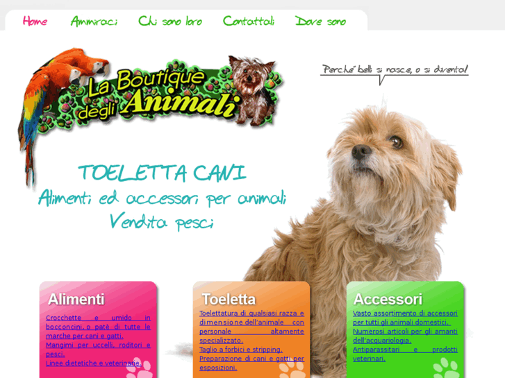 www.toelettacani-labico.com