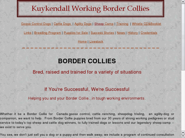 www.border-collie-puppy.com