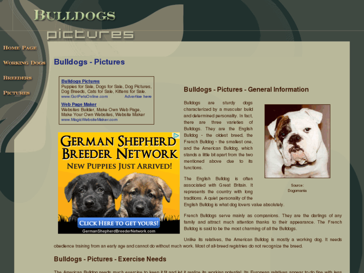 www.bulldogs-pictures.com