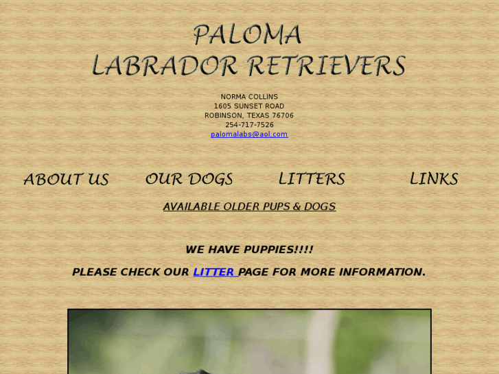 www.palomalabs.com