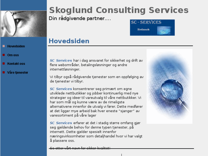 www.skoglund-consulting.com