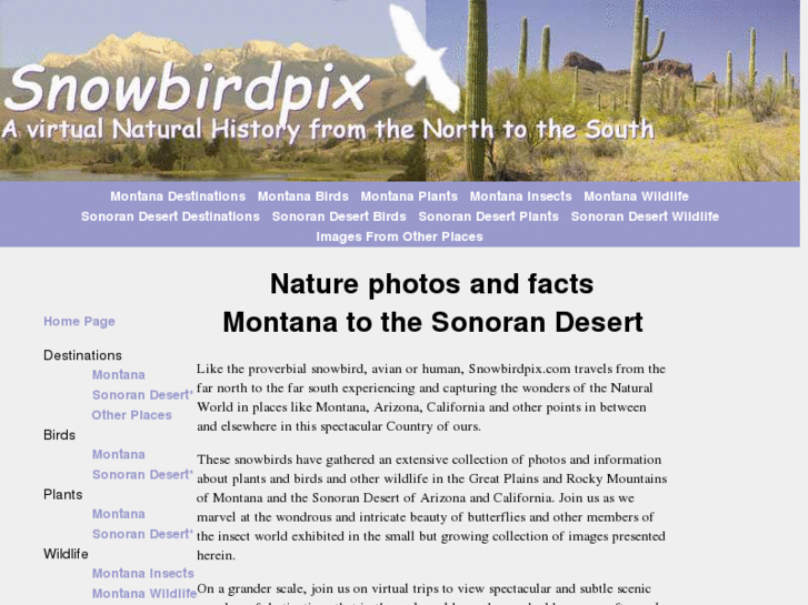 www.snowbirdpix.com