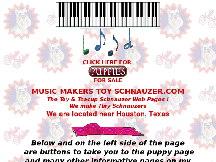 www.toyschnauzer.com