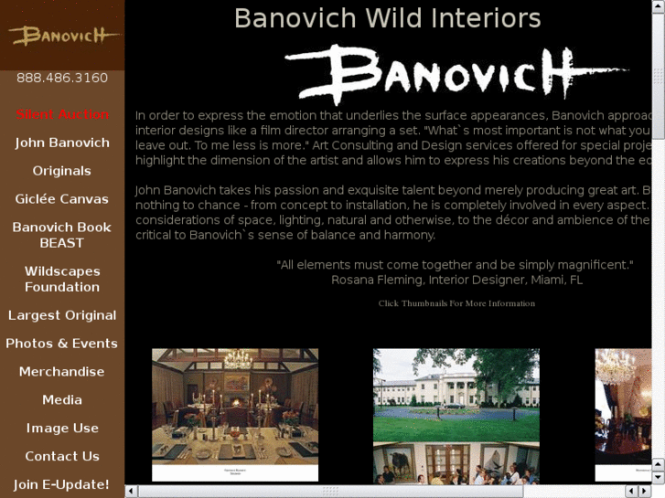 www.banovichwildinteriors.com