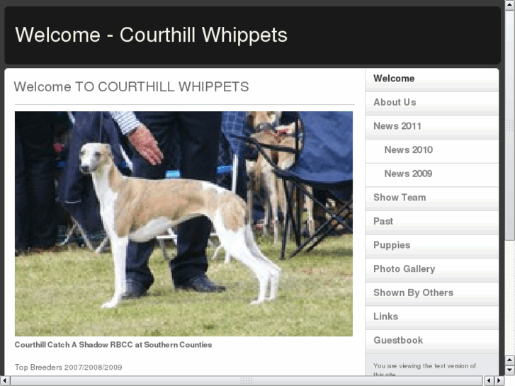 www.courthillwhippets.co.uk