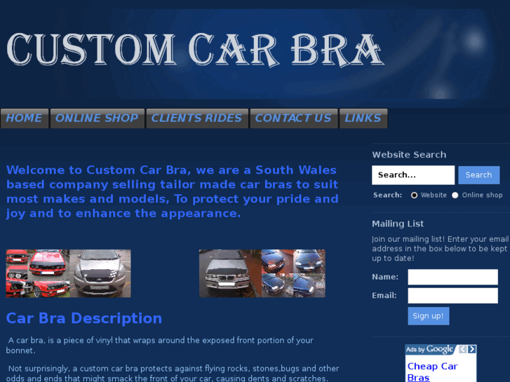 www.customcarbra.net