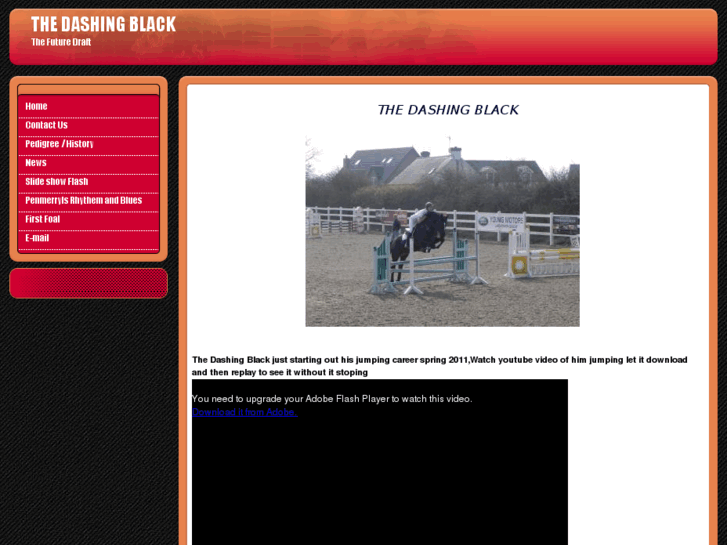 www.thedashingblack.com