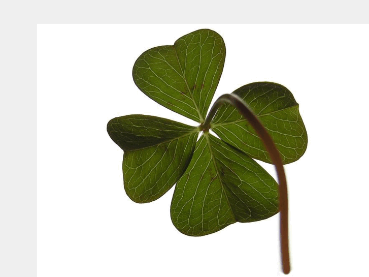 www.4leafsoftware.com