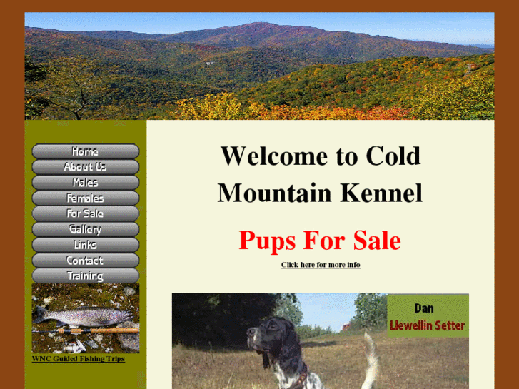 www.coldmountainkennel.com