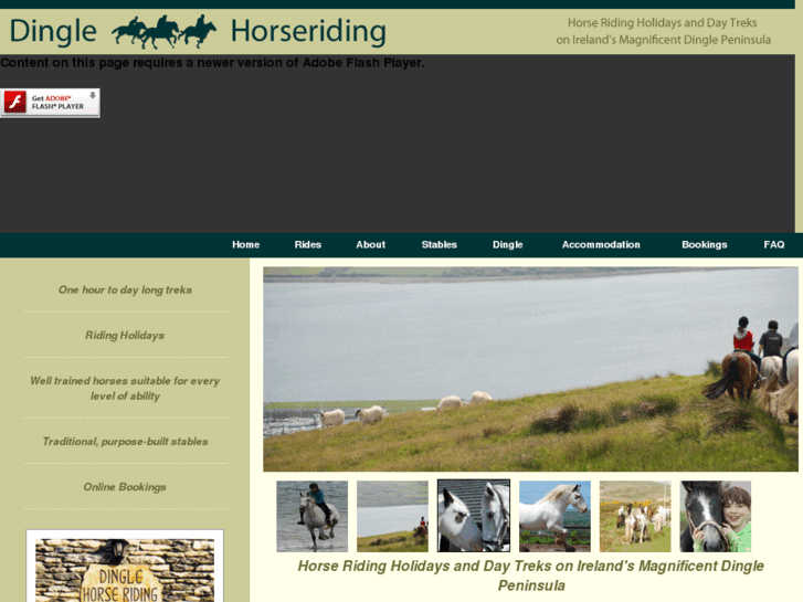 www.dinglehorseriding.com