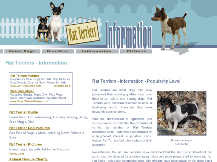 www.rat-terriers-information.com