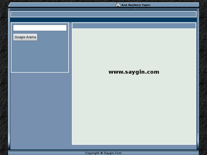 www.saygin.com