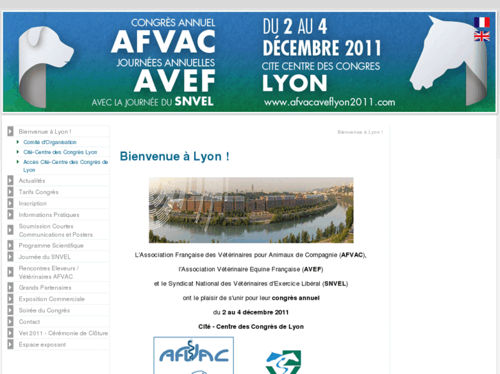 www.afvacaveflyon2011.com