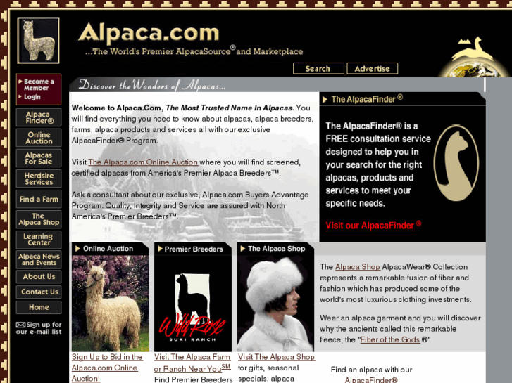 www.alpaca.com