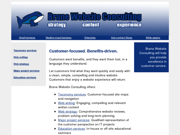 www.branewebsiteconsulting.com