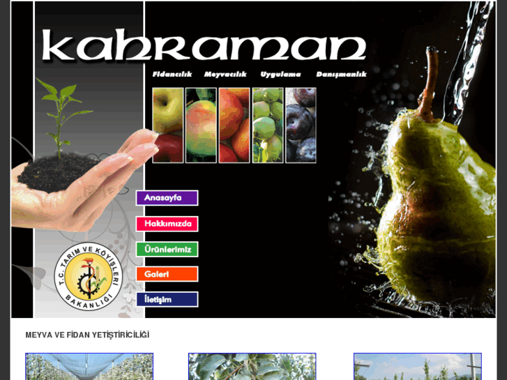 www.kahramanfidancilik.com