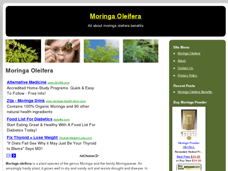 www.moringaoleiferabenefits.com