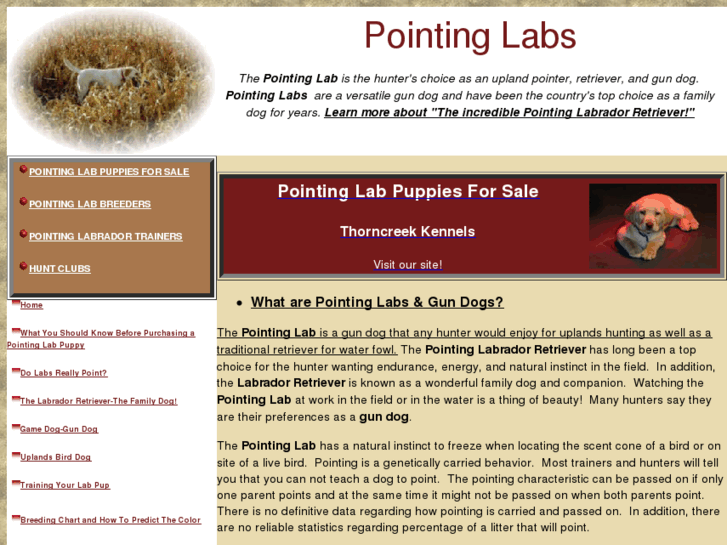 www.pointing-lab.net