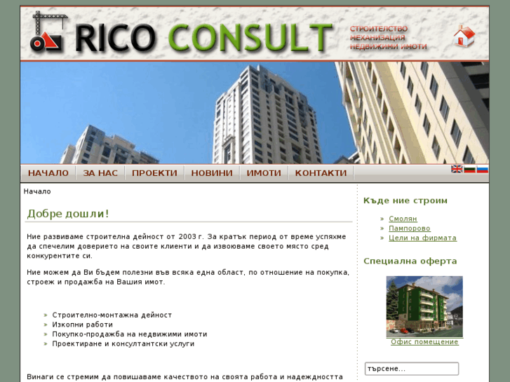 www.ricoconsult.com