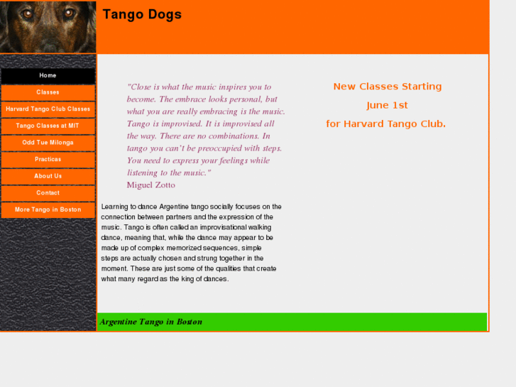 www.tangodogs.com