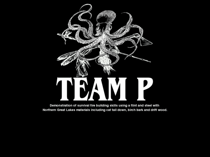 www.teamp.com